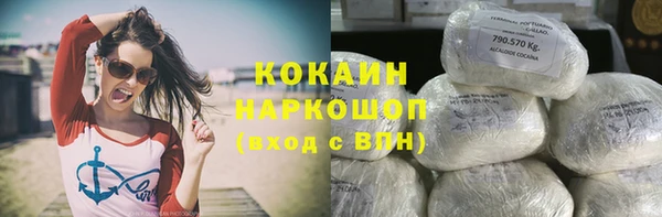 крисы Касимов