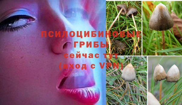 экстази Карталы