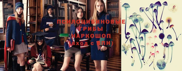 крисы Касимов