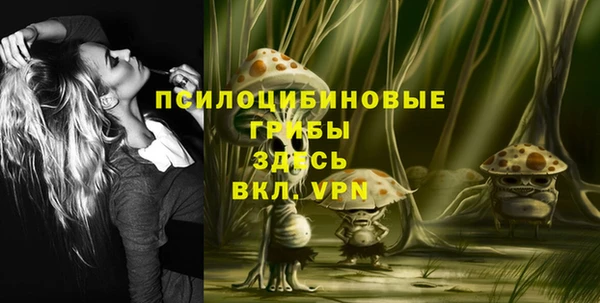 эйфоретик Карпинск