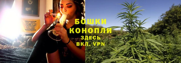 крисы Касимов